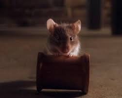 Mr Jingles The Green Mile Milagros Inesperados Miles Movie Favorite Movie Quotes Good Movies