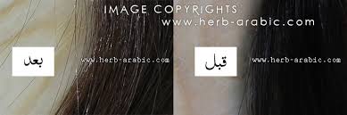 تجربتي لصبغة هيرباتنت باللون الاشقر البلاتيني افضل صبغة للشيب بدون امونيا وروائح واضرار آي هيرب بالعربي من السعودية تجارب منتجات ايهيرب