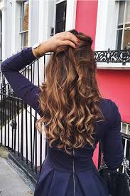 Rather than dying hair darker and adding highlights, the look is best for those who already have brown hair. 24 Feminine And Soft Chestnut Hair Ideas Styleoholic