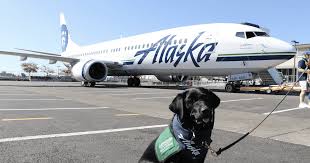 Travel light at each stage of your journey with your companion mobile app. Alaska Airlines No More Free Flights For Emotional Support Dogs
