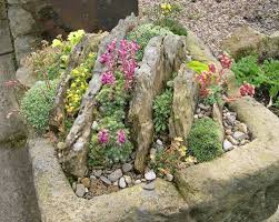 Crevice Garden In A Trough Slack Top Nurseries And Garden West Yorkshire Uk Rockery Garden Plants Garden Containers