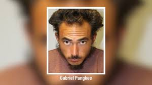 Swine flu kills toddler, youngest confirmed Hawaii case