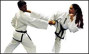 Nama itu bermaksud jalan tangan dan kaki. 300 Latihan Belajar Taekwondo For Android Apk Download