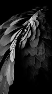 Angel Wings Images Black And White Black White Photography Inspiration Black Bird White Photography Angel