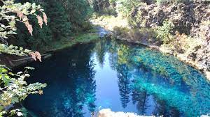 Mckenzie river trail blue pool. Mckenzie River Trail By Blue Pool Reopens To Public Kcby