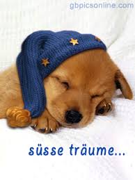 Wünsche deinem schatz und deinen freunden eine gute wir haben dir hier eine sammlung an schönen und lustigen gute nacht sprüchen zusammengestellt. Susse Bilder Zum 1 Advent Gb Bilder Gb Pics Gastebuchbilder Gute Nacht Susse Traume Bilder Gute Nacht Bilder