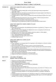Job descriptions for senior executive assistants. Sales Executive Assistant Resume Samples Velvet Jobs