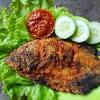 Top ala restoran resep saus padang untuk cumi dan seafood lainnya. Https Encrypted Tbn0 Gstatic Com Images Q Tbn And9gcsjzyuujxqucch J7bgbyqsg0x7o6qx89n Nrrf2vs Usqp Cau