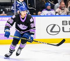 #36 Felix Robert Hockey Fights Cancer Nameplate