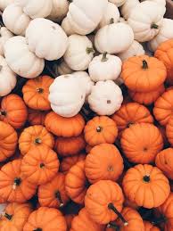 Check spelling or type a new query. Autumn Halloween And Pumpkin Image Pumpkin Wallpaper Cute Fall Wallpaper Fall Wallpaper