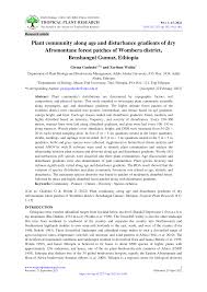 Image result for Eriosema scioanum