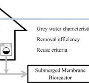 Single house on-site grey water treatment using a submerged ...