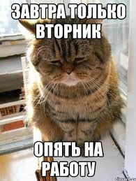 завтра только вторник опять на работу, Мем Очень депрессивный кот - Рисовач  .Ру