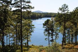 Highly rated activities with free entry in arkansas: Best Places To Retire In Arkansas Only In Arkansas