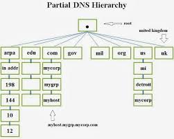 Enables serving zone data dns server identifier (rfc 5001), it's useful while operating multiple sdns. Domain Name System Dns Beat Maker