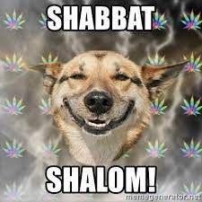 Shabbat Shalom Stoner Dog Meme Generator