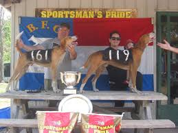 Profile for Brunswick Foxhound Club, Inc.