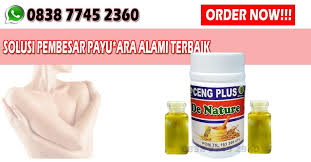 Maybe you would like to learn more about one of these? Langkah Cara Memperbesar Payudara Dengan Bawang Merah Kunyit Dan Kacang Panjang Tips Herbal De Nature Obat Pembesar Obat Pembesar Payuda