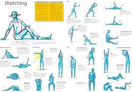 9 Best Photos Of Free Printable Stretching Chart Free