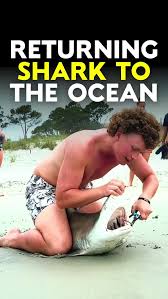 Lessons in Maturity on the Shore: Teen Angler Sparks Debate Over Digital Passivity at South Carolina Beach