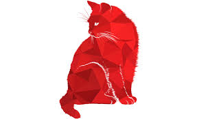 50 wallpapers smartphone hintergrund hintergrund iphone handy hintergrund. Susse Katze Hd Wallpaper Amazon De Apps Fur Android