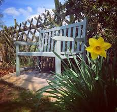 Ronseal Garden Paint In Willow For Bed Frames Ronseal Garden Paint Garden Front Of House Garden Painting