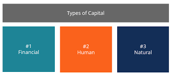 Capital - Definition, Types, Money vs ...