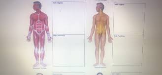 The hollow organs that make up the gi tract are the mouth, esophagus. Solved 0 2 Answered Ti Exercise 1 6 Mework De On Septe Chegg Com