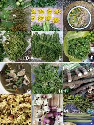 Tropical and citrus fruit, some edible nuts, citrus fruit or melon peels — will be covered by 5% at stake like all fruits; Wild Food Plants And Fungi Sold In The Markets Of Luang Prabang Lao Pdr Journal Of Ethnobiology And Ethnomedicine Full Text