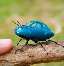Photos From Posts Volkswagen Beetle Vw Kafer Volkswagen