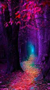 Phone Wallpapers Fall Wallpaper Nature Wallpaper Scenery Wallpaper