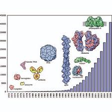 Worldwide protein data bank (wwpdb). Iucr The Protein Data Bank A Historical Perspective
