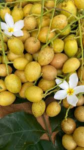 Image result for Clausena