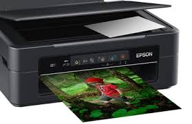 Il peut également mettre à jour le micrologiciel de l'imprimante ainsi que les logiciels installés. Pasiulyti Idealiu Atveju RitinÄ—lis Epson 255 Yenanchen Com