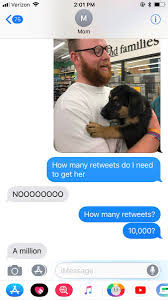 Agnes Ahlgren (@agnespotatisen)