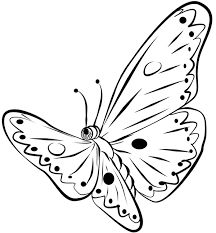 Cara menggambar kupu kupu how to draw butterfly youtube via www.youtube.com. 45 Gambar Sketsa Kupu Kupu Untuk Kolase Terlengkap Top Gambar Kolase