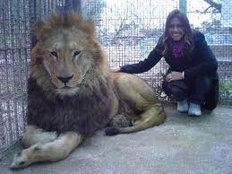 Zoo Lujan Where You Can Pet Lions Hold Baby Tigers And Bottle Feed Bears I Need To Go Here Pet Lion Picture Places Lions