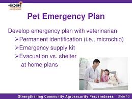 High quality emergency vet care, lower fees than an er. Emergency Pet Sheltering During A Disaster Ppt Download