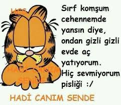 Hain Komsu Komik Komik Alintilar Karikatur