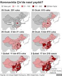 1.) what do the local fans make of …. Koronavirus Cin Abd Dunyada Panige Neden Oluyor Bbc News Turkce