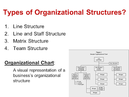 Organization Structure Ppt Video Online Download