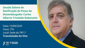 Utilização de audiodescrição em manifestações públicas