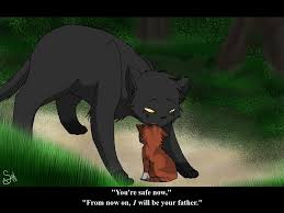 Test your medicine cat knowledge in this warriors quiz to find out if you really are a true medicine in this quiz you will be tested about random warrior cats things ranging from dawn of the clans to. A New Family By Blusilurus On Deviantart