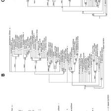 Image result for Lipocarpha atra