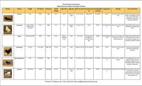 heritage chicken breed comparison chart great info pdf