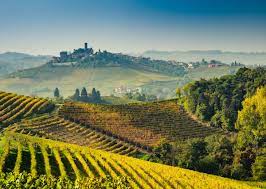 Piemonte is known for its wines and fall truffles, mountains with ski resorts in the west and north, and the city of turin. How To Plan A Trip To Piedmont Wine Region In Italy