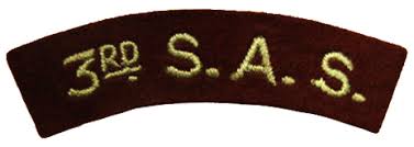 Start date feb 23, 2019. 3rd Parachute Chasseur Regiment Wikipedia