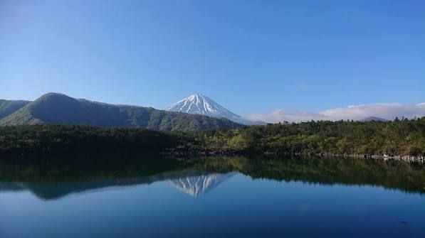 Hike in the Sea of Trees | National Parks of Japan