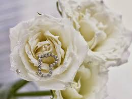 Dimana wanita yang cantik dan baik maka menjadi wanita. Wallpaper Bunga Mawar Bergerak Cover Photo For Fb White Rose 1024x768 Wallpaper Teahub Io