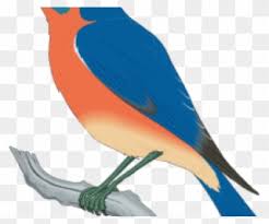 Please use and share these clipart pictures with your friends. Free Bluebird Clipart Blue Bird Clip Art Png Download 880832 Pinclipart